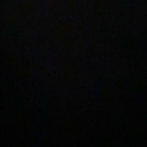 Meet your Posher, Rosa